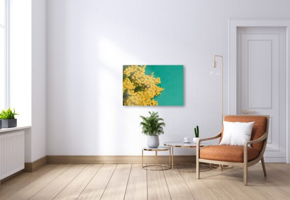 "Mimosas par centaines" - Tableau photo de Ségolène Trousset - Artiste photographe